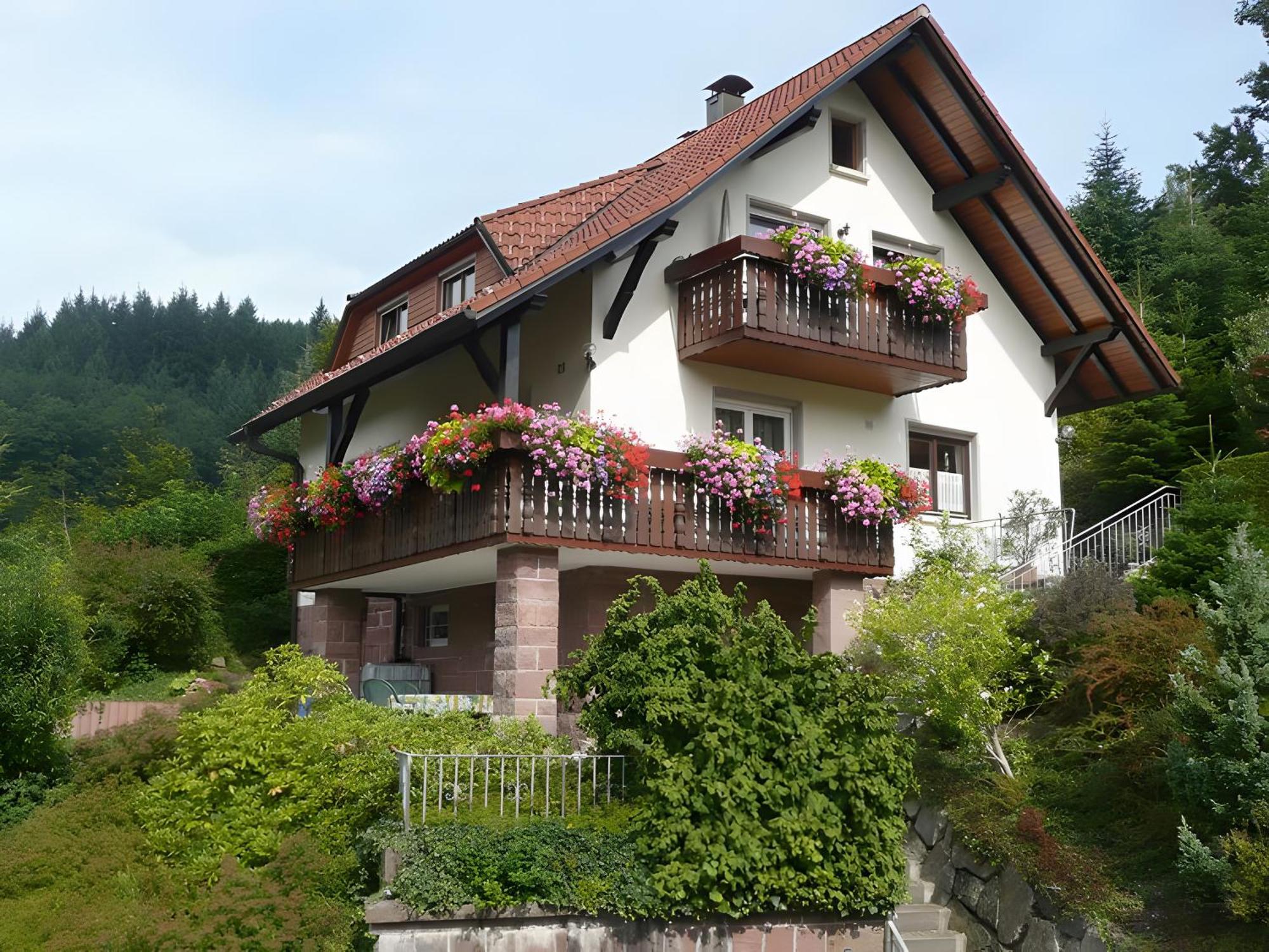 Haus Herbert Panter Bad Peterstal-Griesbach Zewnętrze zdjęcie