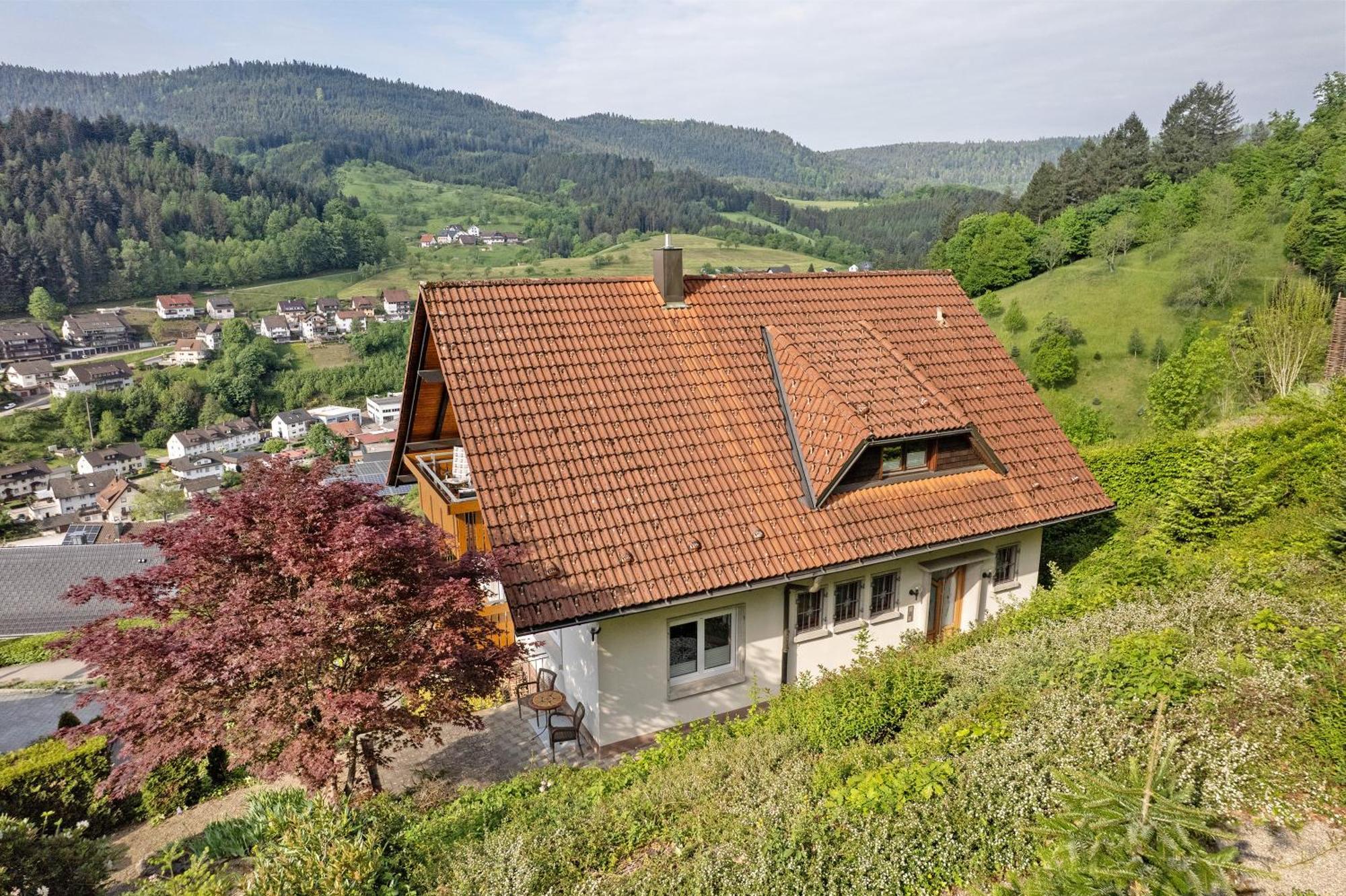 Haus Herbert Panter Bad Peterstal-Griesbach Zewnętrze zdjęcie