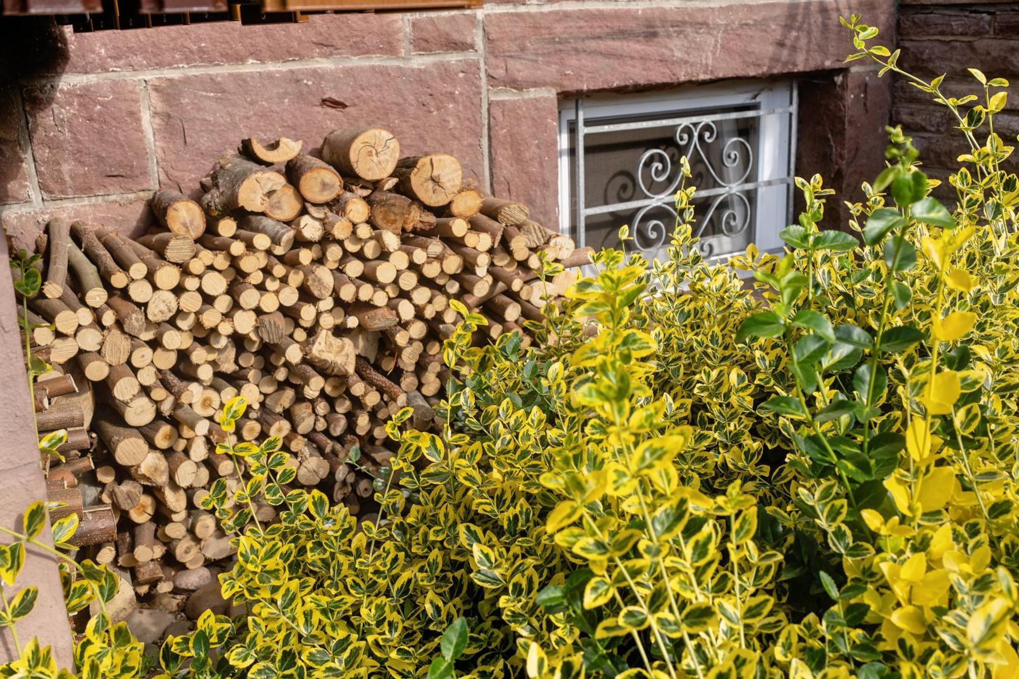 Haus Herbert Panter Bad Peterstal-Griesbach Zewnętrze zdjęcie